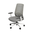 Silla Ejecutiva Ergonómica gris posa brazos movibles CSBD04 Deli *UMV-1und*