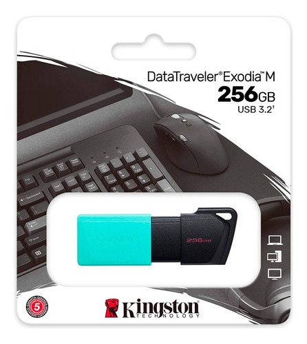 DTXM/256GB-2