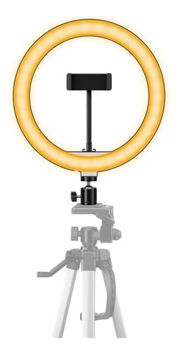 MOV-039-2