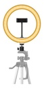 MOV-039-2