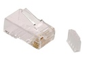Conector RJ45 para cable UTP Cat 6 Steren  bolsa de 100 und